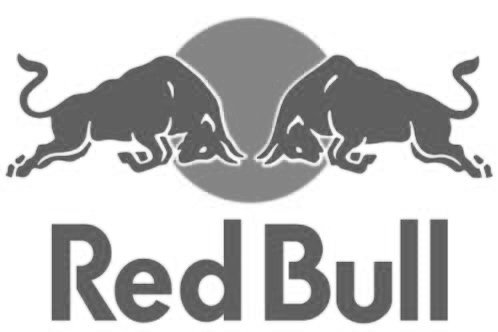 RedBull%2BRacing%2BTeam%2B.jpg